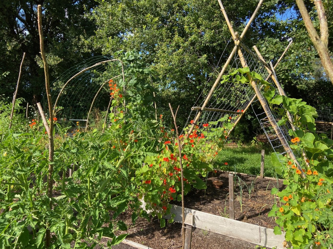 Potager en permaculture Potager en permaculture