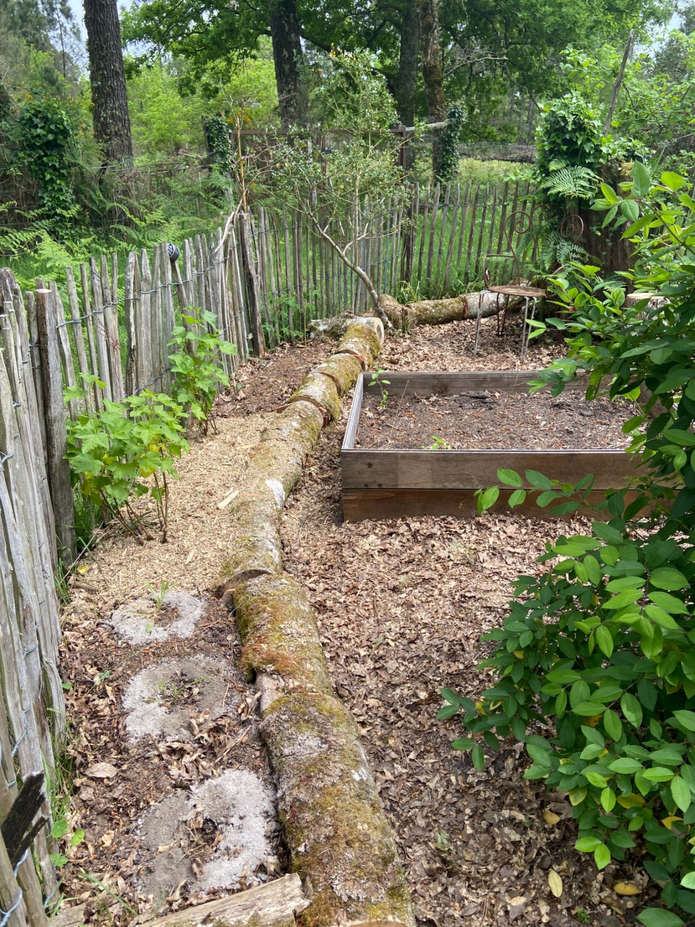 Jardin forêt médicinal Jardin médicinal