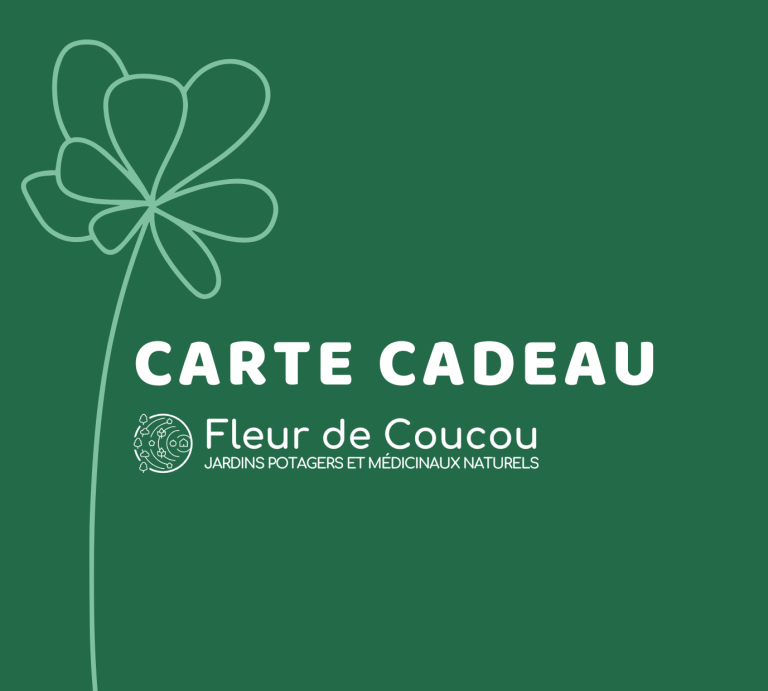 Récolte de légumes d'été