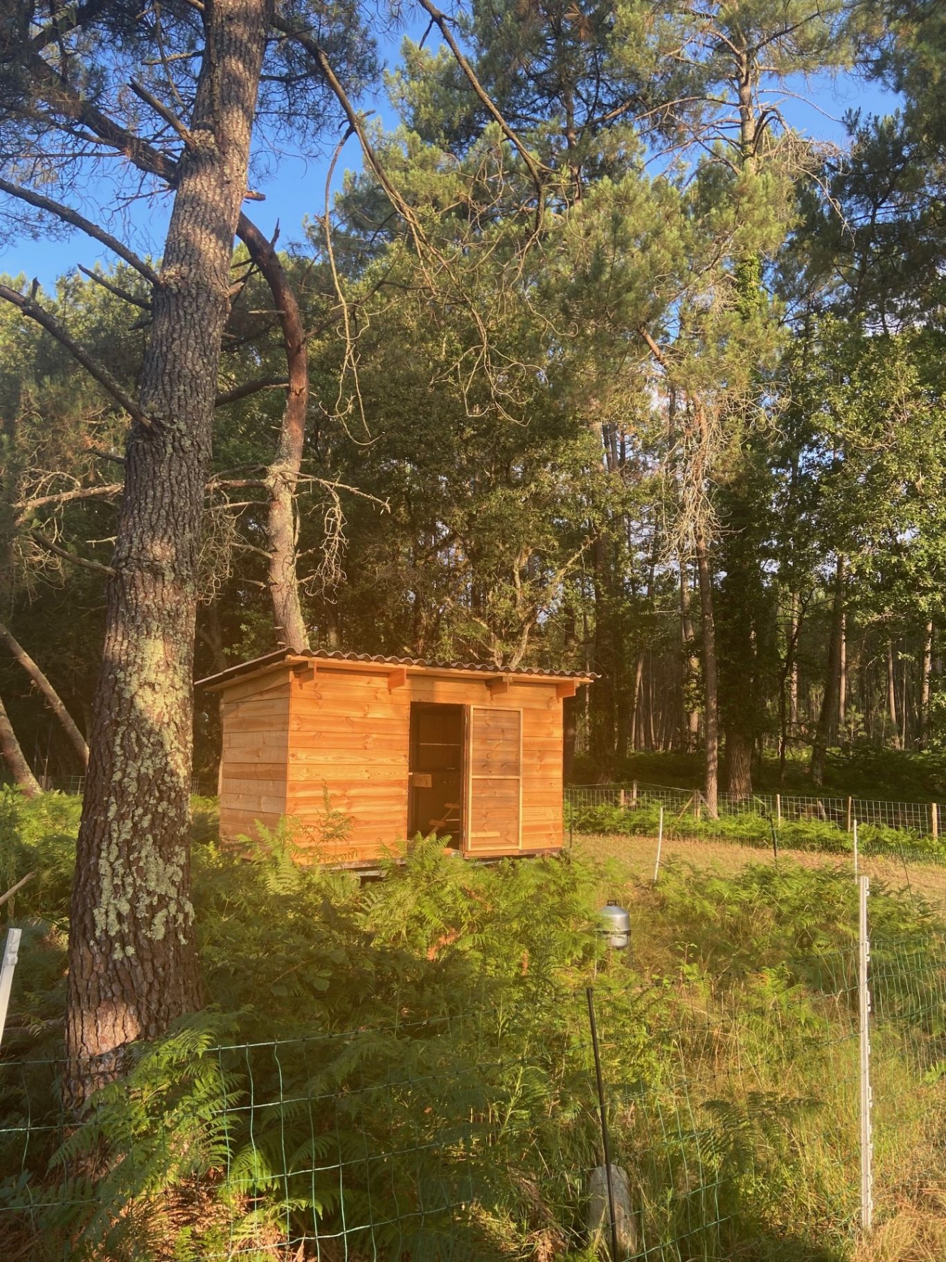 Poulailler mobile Poulailler mobile