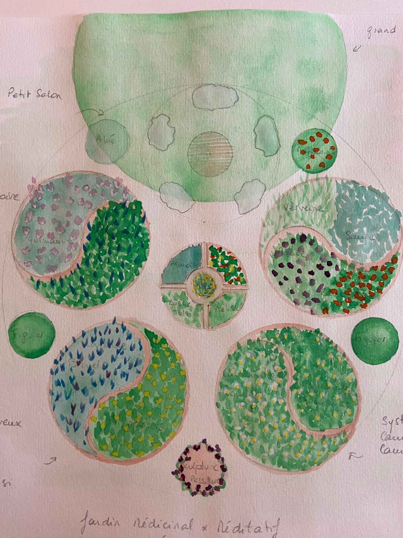 Dessin jardin médicinal familial Jardin médicinal